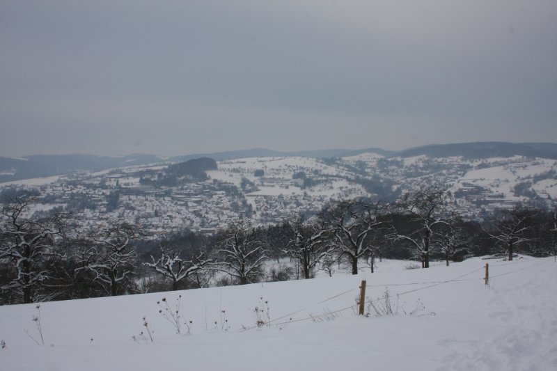 Winter 28.12.2010_19.JPG